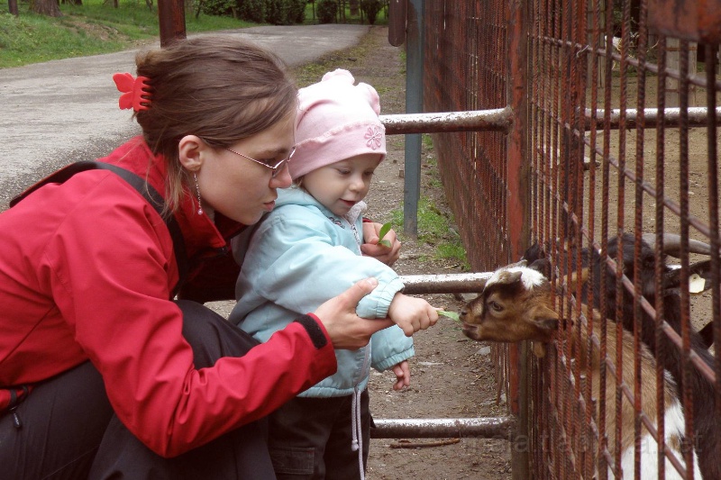 2010-05-13--D10.JPG - V ZOO