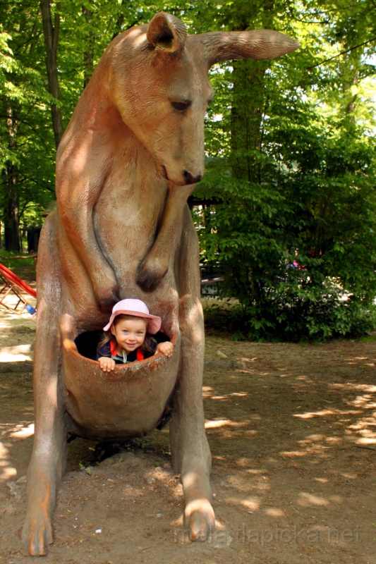 2011-05-19_12-11_00.jpg - Klokánek Markétka