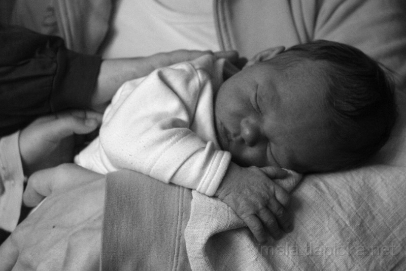 2012-04-06_02_malaa.jpg - Vítek s Markétkou hladí sestřičku