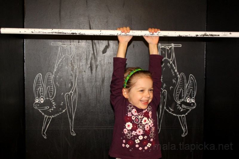 2012-10-24_14-15_00.jpg - Na výstavě o netopýrech