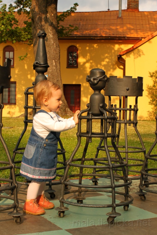 2013-07-14_18-10_00.jpg - Kované šachy