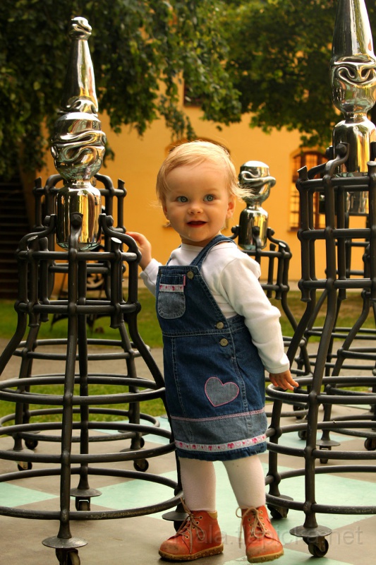 2013-07-14_18-11_03_.jpg - Kované šachy