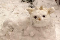 2013-03-31_12-59_03ou