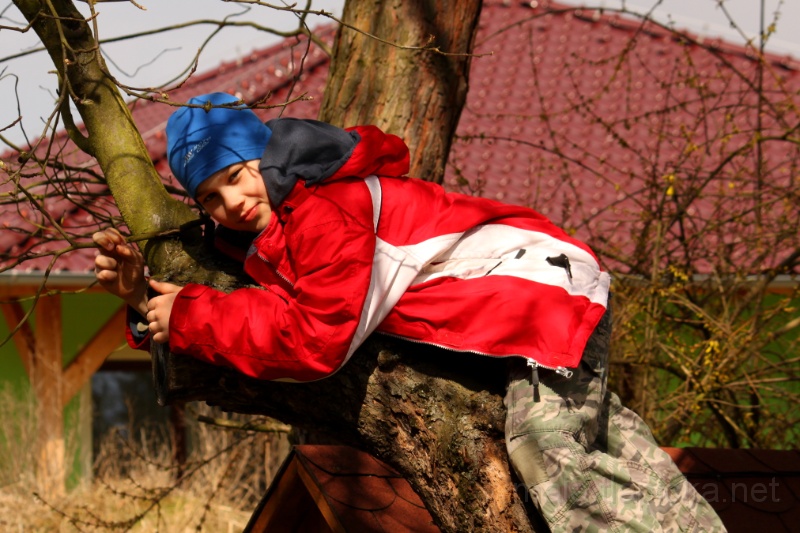 2015-04-05_14-23_00.jpg - Stromolezec :)