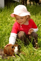 2015-05-31_15-45_02_